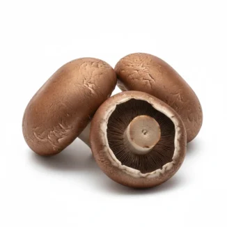 Champiñon portobello ecológico Kg