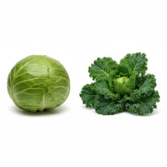 Col lisa/rizada ecológica Kg