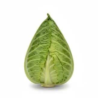 Col picuda ecológica unidad