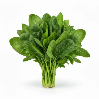 Espinaca ecológica Kg