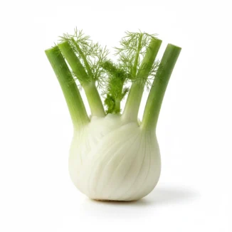 Hinojo de bulbo ecológico Kg