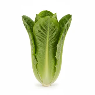 Lechuga ecológica unidad