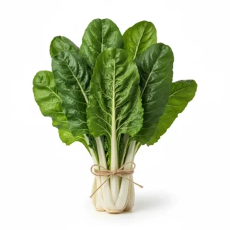 Acelga verde ecológica Kg