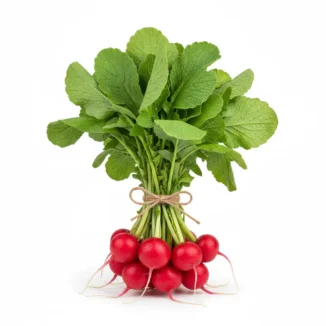 Rabanito ecológico manojo