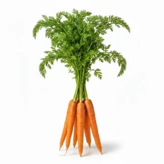 Zanahoria ecológica Kg