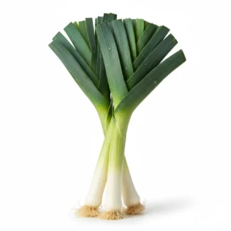 Puerro ecológico Kg